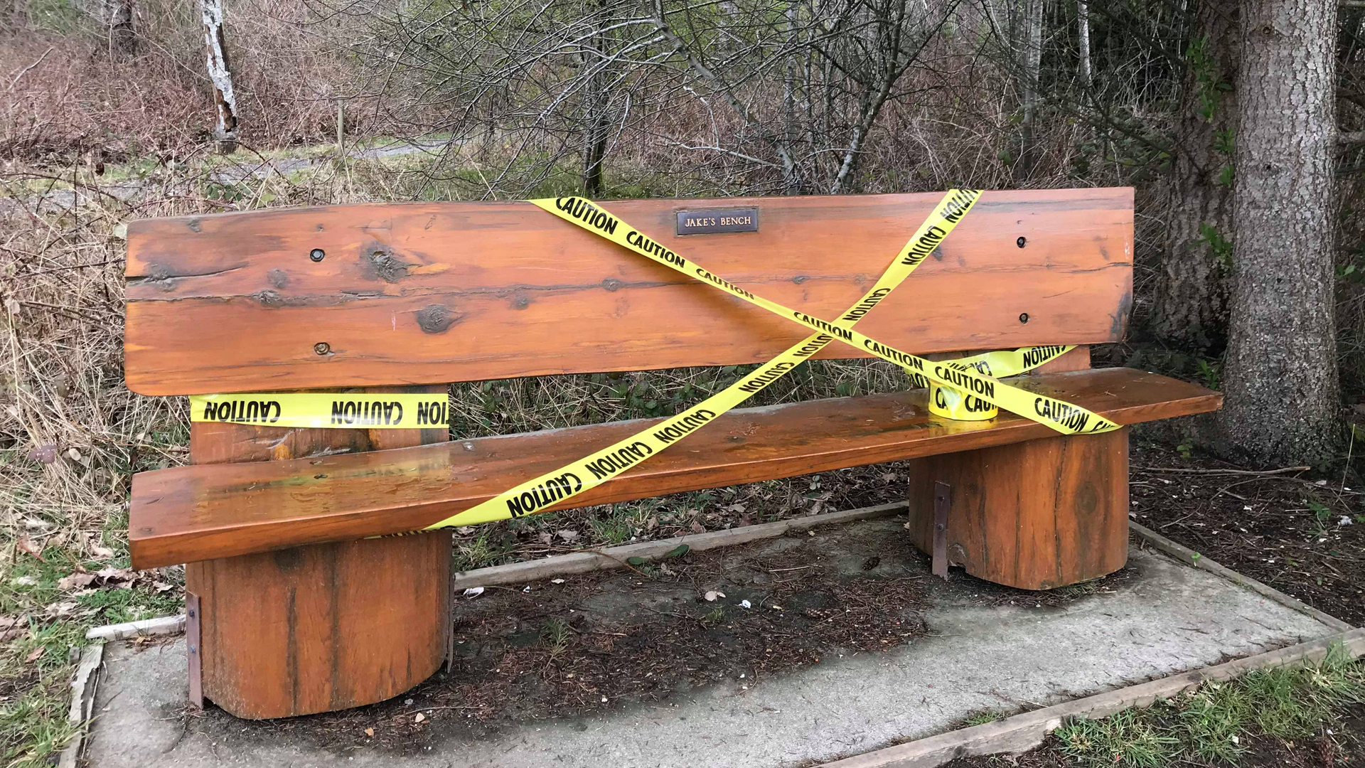 COVID19 Response Wild Bird Trust of British Columbia